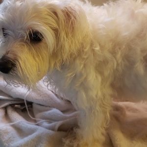 Meet your Posher, Guadalupe